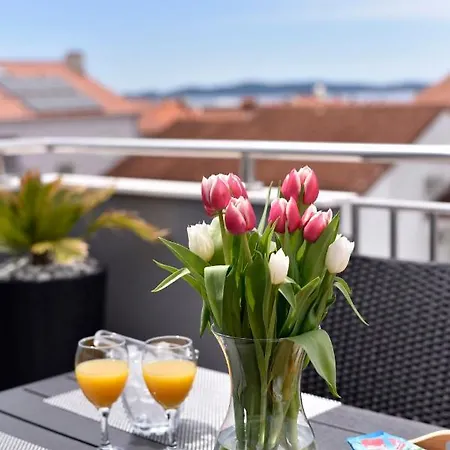 Deluxe Korina & Ramona