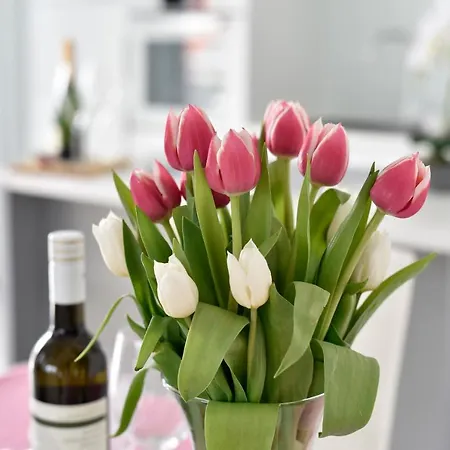 Deluxe Korina & Ramona 4* Zadar