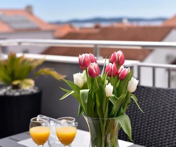 Deluxe Korina & Ramona