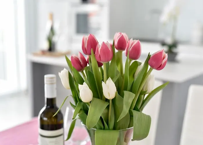 Deluxe Korina & Ramona 4* Zadar